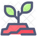 پیش‌نمایش فایل growth-plant-2481252 از پک فضا