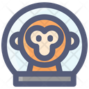 پیش‌نمایش فایل space-monkey-2481270 از پک فضا