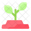 پیش‌نمایش فایل growth-plant-2481352 از پک فضا