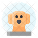 پیش‌نمایش فایل space-dog-2481380 از پک فضا