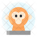 پیش‌نمایش فایل space-monkey-2481370 از پک فضا