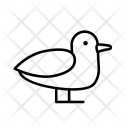 پیش‌نمایش فایل bird-91 از پک سفر