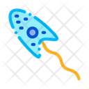 پیش‌نمایش فایل bacteria-2017795 از پک میکروب‌ها باکتری مجموعه