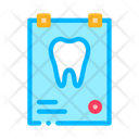 پیش‌نمایش فایل teeth-x-ray-2017913 از پک دندانپزشکی