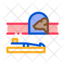 پیش‌نمایش فایل mousetrap-2023999 از پک محافظت موش
