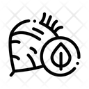 پیش‌نمایش فایل beet-2050958 از پک غذاها زیست‌محیطی ارگانیک