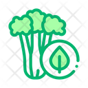 پیش‌نمایش فایل broccoli-2053605 از پک غذاها زیست‌محیطی ارگانیک
