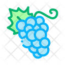 پیش‌نمایش فایل grapes-2053602 از پک غذاها زیست‌محیطی ارگانیک