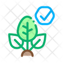 پیش‌نمایش فایل plant-2053786 از پک شیمیایی آفت‌کش‌ها