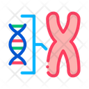 پیش‌نمایش فایل chromosome-2051835 از پک دی‌ان‌ای آزمایش نسب پدری