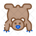 پیش‌نمایش فایل brown-bear-2167215 از پک شکار