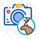 پیش‌نمایش فایل deer-photo-2167196 از پک شکار
