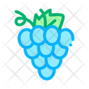 پیش‌نمایش فایل grape-2182295 از پک سنتی ایتالیایی