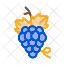 پیش‌نمایش فایل grapes-2551817 از پک تاریخ کشور یونان