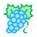 پیش‌نمایش فایل grapes-bunch-2552258 از پک چشیدن شراب سوممِلیر