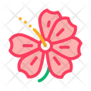 پیش‌نمایش فایل hibiscus-flower-2553251 از پک ملی مالزی