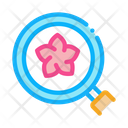 پیش‌نمایش فایل flower-research-2556056 از پک بوتیک فروشگاه گل