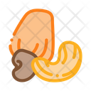 پیش‌نمایش فایل cashew-nut-2556157 از پک غذا آجیل