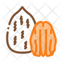پیش‌نمایش فایل pecan-nut-2556146 از پک غذا آجیل