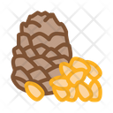پیش‌نمایش فایل pine-nut-2556145 از پک غذا آجیل