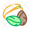 پیش‌نمایش فایل pistachio-nut-2556144 از پک غذا آجیل