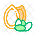 پیش‌نمایش فایل pumpkin-nut-2556143 از پک غذا آجیل