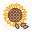 پیش‌نمایش فایل sunflower-seeds-2556142 از پک غذا آجیل