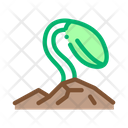 پیش‌نمایش فایل growth-bean-2606991 از پک محصول غذا لوبیا سویا