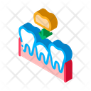 پیش‌نمایش فایل crown-teeth-2607253 از پک دندانپزشکی