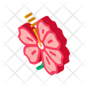 پیش‌نمایش فایل hibiscus-flower-2611769 از پک ملی مالزی