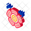 پیش‌نمایش فایل malaysian-flower-2611768 از پک ملی مالزی