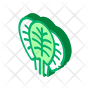 پیش‌نمایش فایل spinach-leaves-2611575 از پک تغذیه غذا پروتئین
