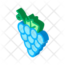 پیش‌نمایش فایل grape-2610239 از پک سنتی ایتالیایی