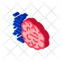 پیش‌نمایش فایل fast-think-brain-2609700 از پک موشن سریع سرعت