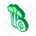 پیش‌نمایش فایل broccoli-2609008 از پک غذاها زیست‌محیطی ارگانیک