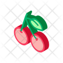 پیش‌نمایش فایل cherry-2609002 از پک غذاها زیست‌محیطی ارگانیک