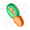 پیش‌نمایش فایل chestnut-2661416 از پک غذا آجیل
