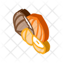 پیش‌نمایش فایل hazelnut-nut-2661413 از پک غذا آجیل