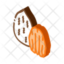 پیش‌نمایش فایل pecan-nut-2661426 از پک غذا آجیل