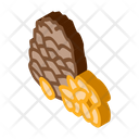 پیش‌نمایش فایل pine-nut-2661425 از پک غذا آجیل