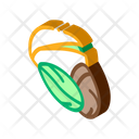 پیش‌نمایش فایل pistachio-nut-2661424 از پک غذا آجیل