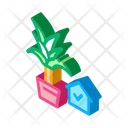 پیش‌نمایش فایل domestic-plant-2661260 از پک بوتیک فروشگاه گل