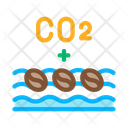 پیش‌نمایش فایل coffee-beans-and-water-2690201 از پک تولید قهوه