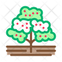 پیش‌نمایش فایل coffee-tree-2690189 از پک تولید قهوه