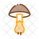 پیش‌نمایش فایل mushroom-2690320 از پک گیاه مزرعه قارچ