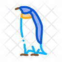 پیش‌نمایش فایل penguin-2813276 از پک قطب شمال و قطب جنوب