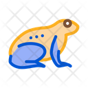 پیش‌نمایش فایل frog-2813163 از پک جنگل گرمسیری جنگل