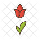 پیش‌نمایش فایل flower-3089894 از پک طبیعت و فضای باز