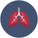 پیش‌نمایش فایل lungs-2234026 از پک ویروس کرونا یا کووید-۱۹