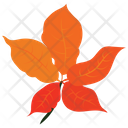 پیش‌نمایش فایل autumn-leaf-2243294 از پک طبیعت